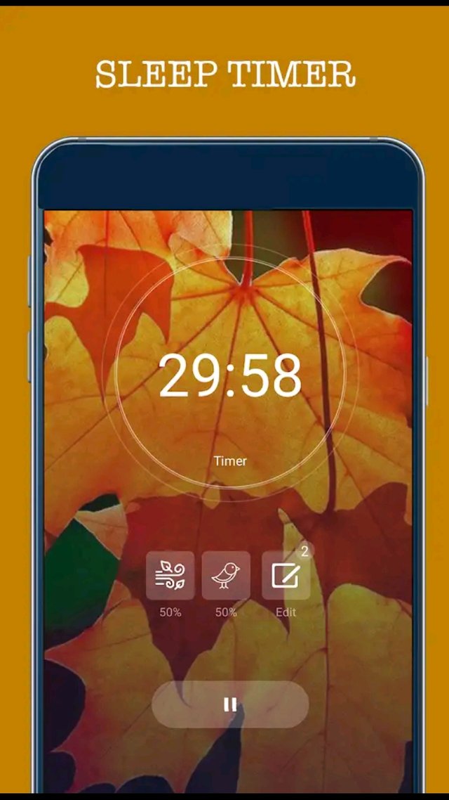 Screenshot_20191209-211458_Google Play Store.jpg